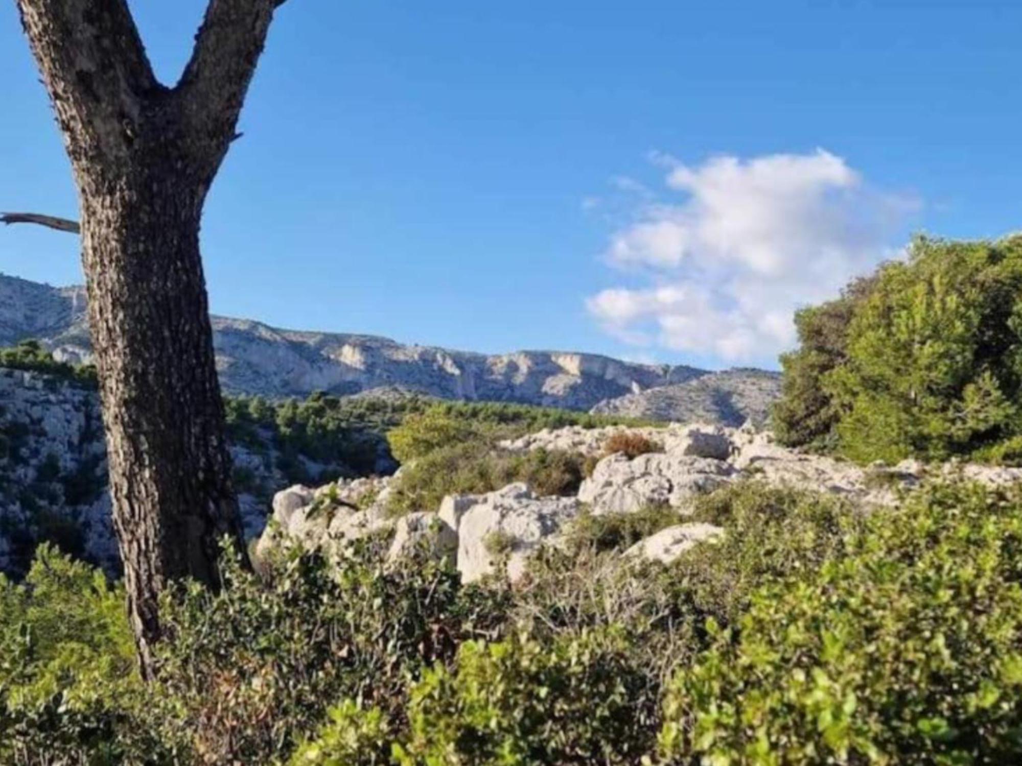 Appartamento Le Perchoir De Cassis Cocoon Esterno foto